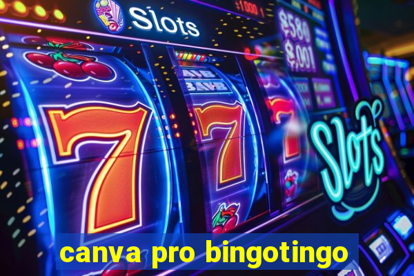 canva pro bingotingo